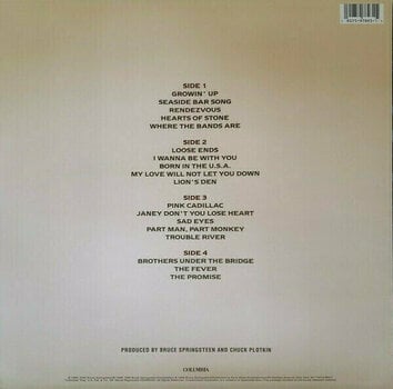 Disque vinyle Bruce Springsteen - 18 Tracks (2 LP) - 10