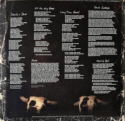 Disc de vinil Bruce Springsteen - Devils & Dust (2 LP) - 6