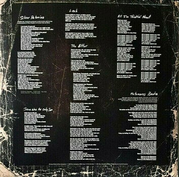 Disque vinyle Bruce Springsteen - Devils & Dust (2 LP) - 10