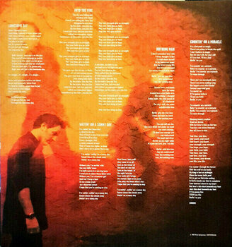 LP ploča Bruce Springsteen - Rising (2 LP) - 6