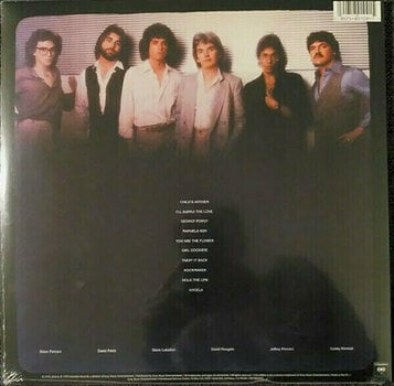 Vinyl Record Toto - Toto (LP) - 5