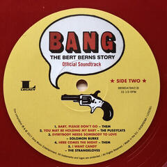 LP ploča Various Artists - Bang: The Bert Berns Story (2 LP) - 6