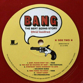 Vinyl Record Various Artists - Bang: The Bert Berns Story (2 LP) - 7