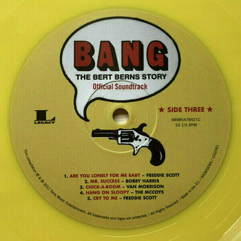Vinyl Record Various Artists - Bang: The Bert Berns Story (2 LP) - 13