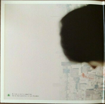 Schallplatte Vampire Weekend - Father Of the Bridge (Gatefold) (2 LP) - 3