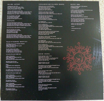 Schallplatte Vuur - In This Moment We Are Free - Cities (2 LP + CD) - 6