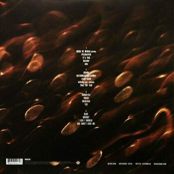 Vinyylilevy Zayn - Mind Of Mine (Deluxe Edition) (2 LP) - 2