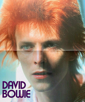 Vinylskiva David Bowie - Space Oddity (Picture Vinyl Album) (LP) - 7