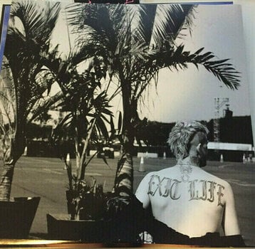 Vinyl Record Lil Peep - Everybody's Everything (2 LP) - 10