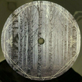 Δίσκος LP Insomnium - Heart Like A Grave (2 LP + CD) - 4