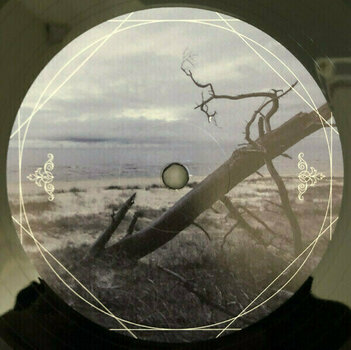 Vinyl Record Insomnium - Heart Like A Grave (2 LP + CD) - 6