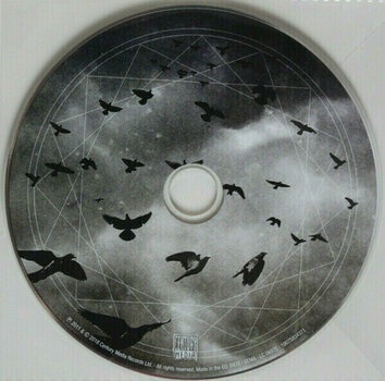 Vinyl Record Insomnium - One For Sorrow (2 LP + CD) - 9