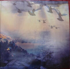 Vinyl Record Santana - Power Of Peace (2 LP) - 3