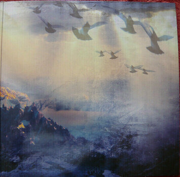 Disque vinyle Santana - Power Of Peace (2 LP) - 4
