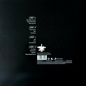 Disque vinyle Kings of Leon - Aha Shake Heartbreak (Transparent Vinyl) (LP) - 2