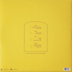 Disco de vinilo MGMT - Little Dark Age (2 LP) - 6