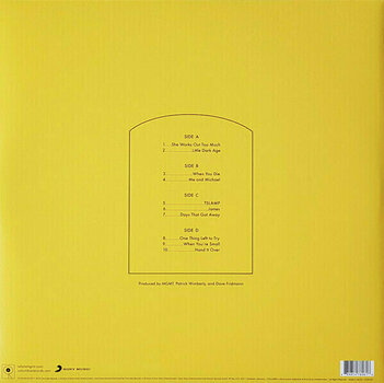 Vinyl Record MGMT - Little Dark Age (2 LP) - 2