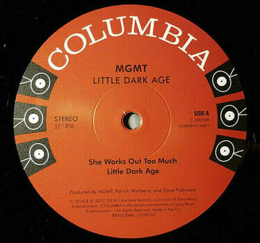 Vinyl Record MGMT - Little Dark Age (2 LP) - 4