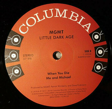 Vinyl Record MGMT - Little Dark Age (2 LP) - 5
