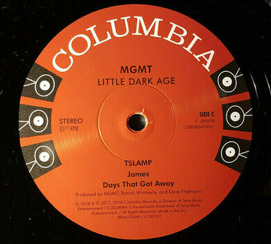 Vinylskiva MGMT - Little Dark Age (2 LP) - 6