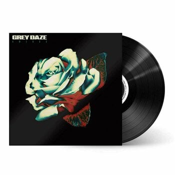 Vinyl Record Grey Daze - Amends (LP) - 2
