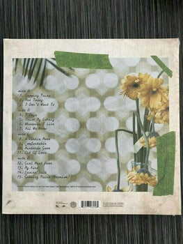 LP plošča Alessia Cara - The Pains Of Growing (2 LP) - 2