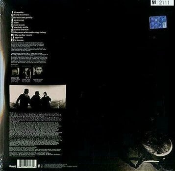 Disque vinyle Doves - Lost Souls (Grey) (Limited Edition) (2 LP) - 2