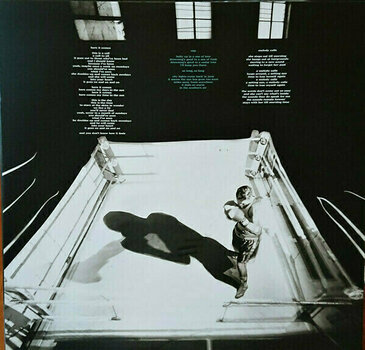 Disque vinyle Doves - Lost Souls (Grey) (Limited Edition) (2 LP) - 3