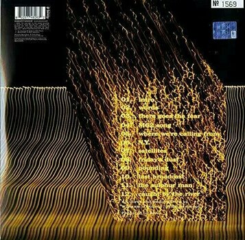 Disque vinyle Doves - The Last Broadcast (Orange Coloured) (Limited Edition) (2 LP) - 2