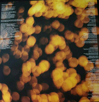 Vinyl Record Doves - The Last Broadcast (Orange Coloured) (Limited Edition) (2 LP) - 3