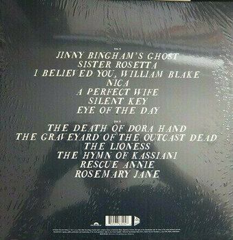 Schallplatte Frank Turner - No Man's Land (LP) - 2