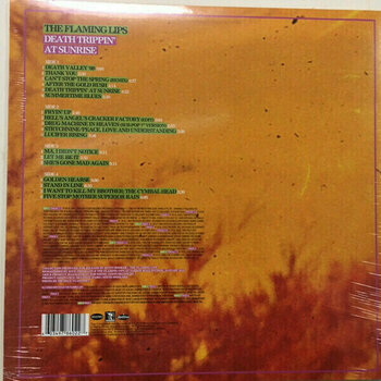 Płyta winylowa The Flaming Lips - Death Trippin' At Sunrise: Rarities, B-Sides & Flexi-Discs 1986-1990 (2 LP) - 2