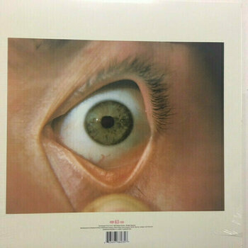 Vinylskiva The Flaming Lips - Hear It Is (LP) - 2