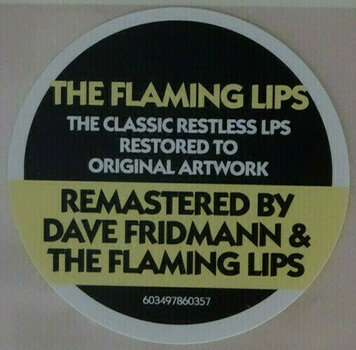 Schallplatte The Flaming Lips - Hear It Is (LP) - 5
