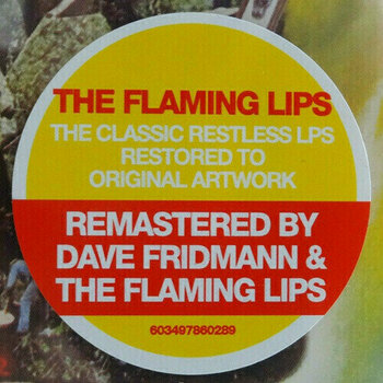 Disco de vinilo The Flaming Lips - Oh My Gawd!!!... The Flaming Lips (LP) - 2