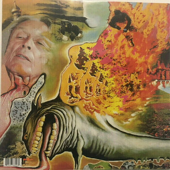 Δίσκος LP The Flaming Lips - Oh My Gawd!!!... The Flaming Lips (LP) - 3