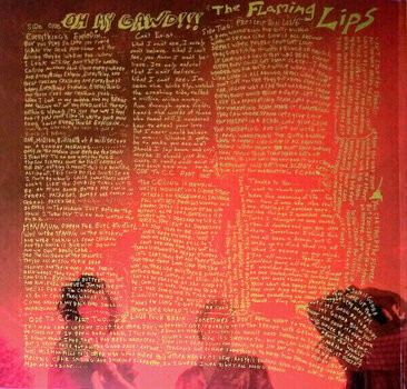 Hanglemez The Flaming Lips - Oh My Gawd!!!... The Flaming Lips (LP) - 4