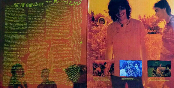 Płyta winylowa The Flaming Lips - Oh My Gawd!!!... The Flaming Lips (LP) - 6