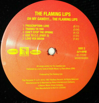 Δίσκος LP The Flaming Lips - Oh My Gawd!!!... The Flaming Lips (LP) - 8