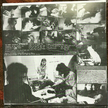 Vinyl Record The Flaming Lips - Telepathic Surgery (LP) - 4