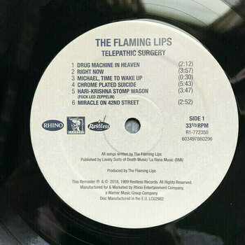 Vinyl Record The Flaming Lips - Telepathic Surgery (LP) - 5