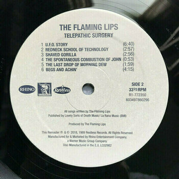 LP The Flaming Lips - Telepathic Surgery (LP) - 6