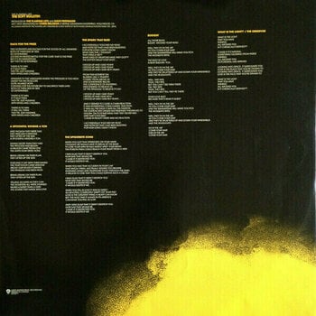 LP The Flaming Lips - The Soft Bulletin (2 LP) - 6