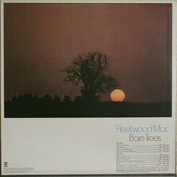 Disque vinyle Fleetwood Mac - 1969-1972 (4 LP + 7'' Vinyl) - 13