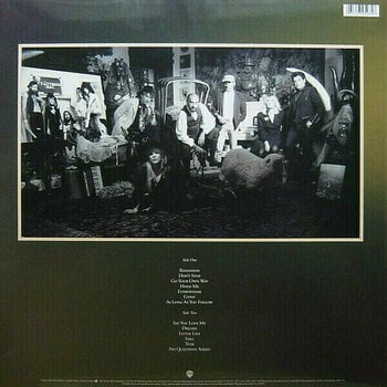 Vinyl Record Fleetwood Mac - Greatest Hits (LP) - 2