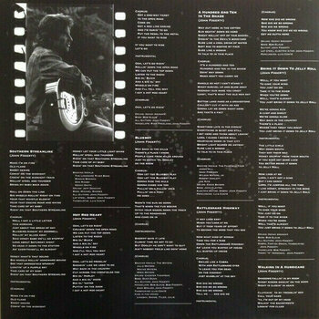 Schallplatte John Fogerty - Blue Moon Swamp (LP) - 5