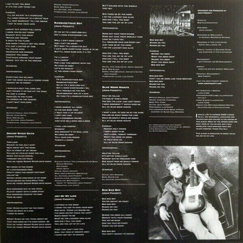 Disque vinyle John Fogerty - Blue Moon Swamp (LP) - 6