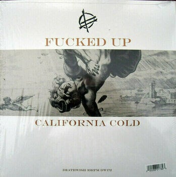 Disque vinyle Fucked Up - Year Of The Hare (Vinyl EP) - 3