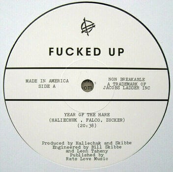 Disque vinyle Fucked Up - Year Of The Hare (Vinyl EP) - 4