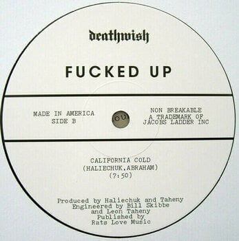 Disque vinyle Fucked Up - Year Of The Hare (Vinyl EP) - 5